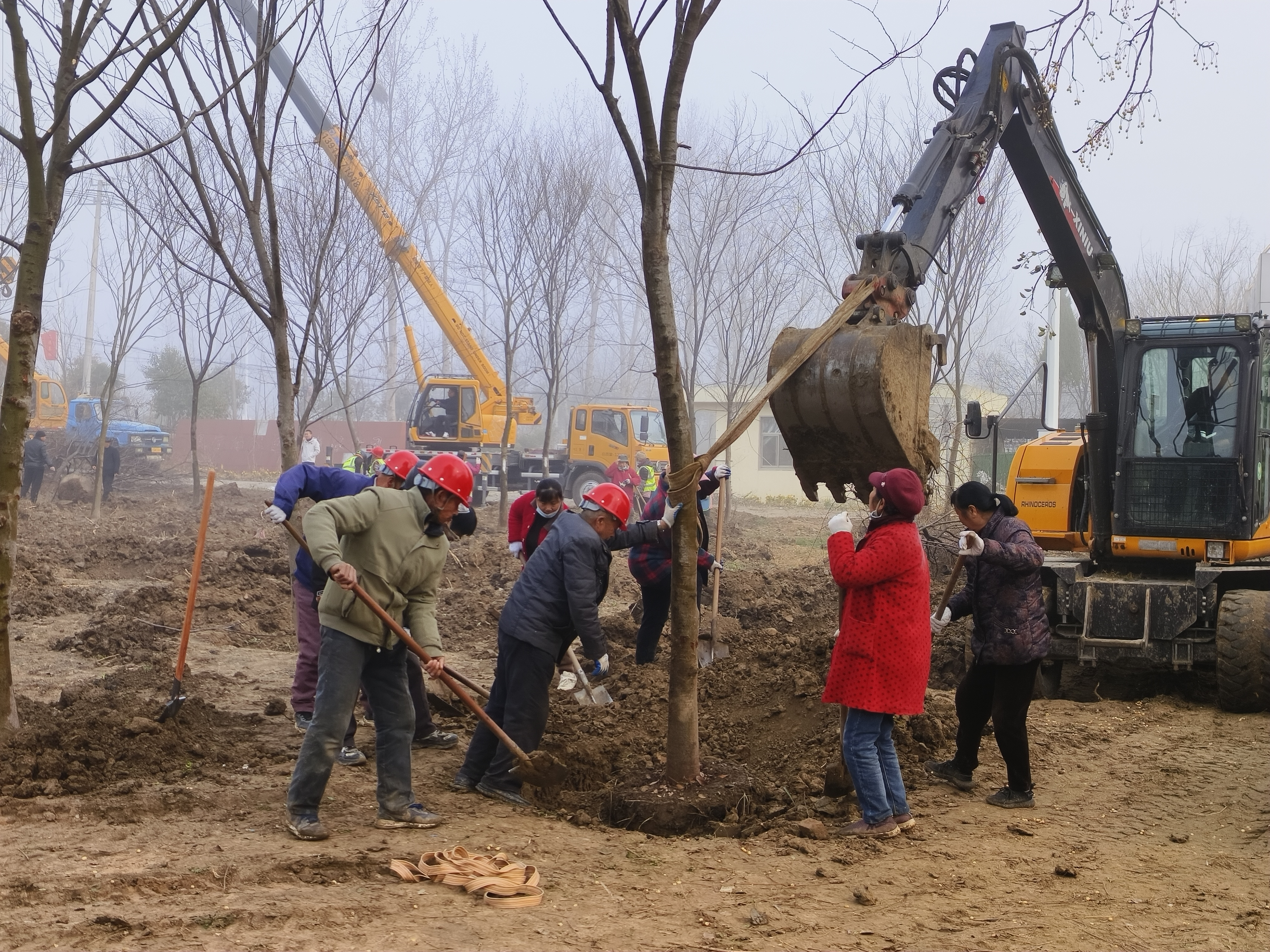 益林镇迎春种绿植树忙