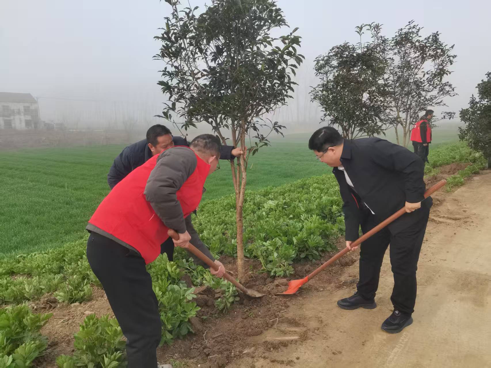陈集镇党员干部积极投身植绿护绿