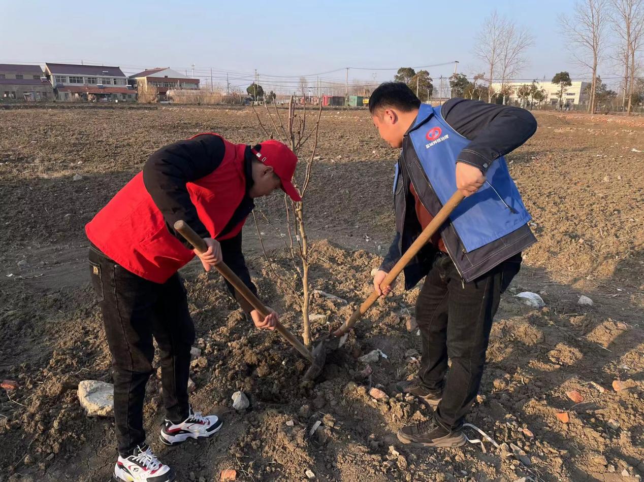 新兴镇镇北社区：植树添新绿 共建美家园