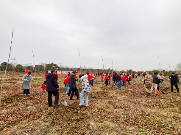 郭猛镇集中开展春季植树活动