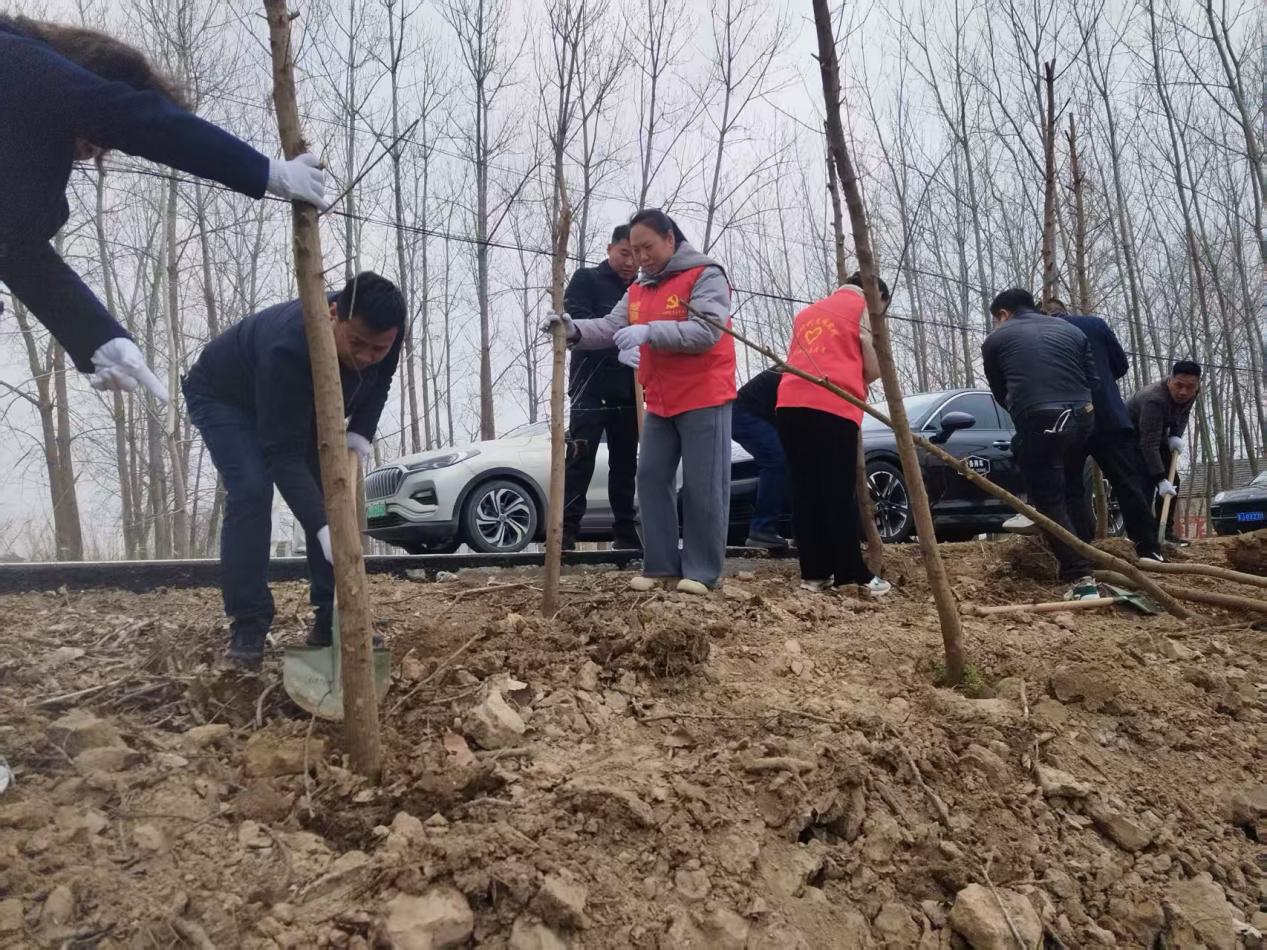 滨淮镇掀起全民义务植树热潮