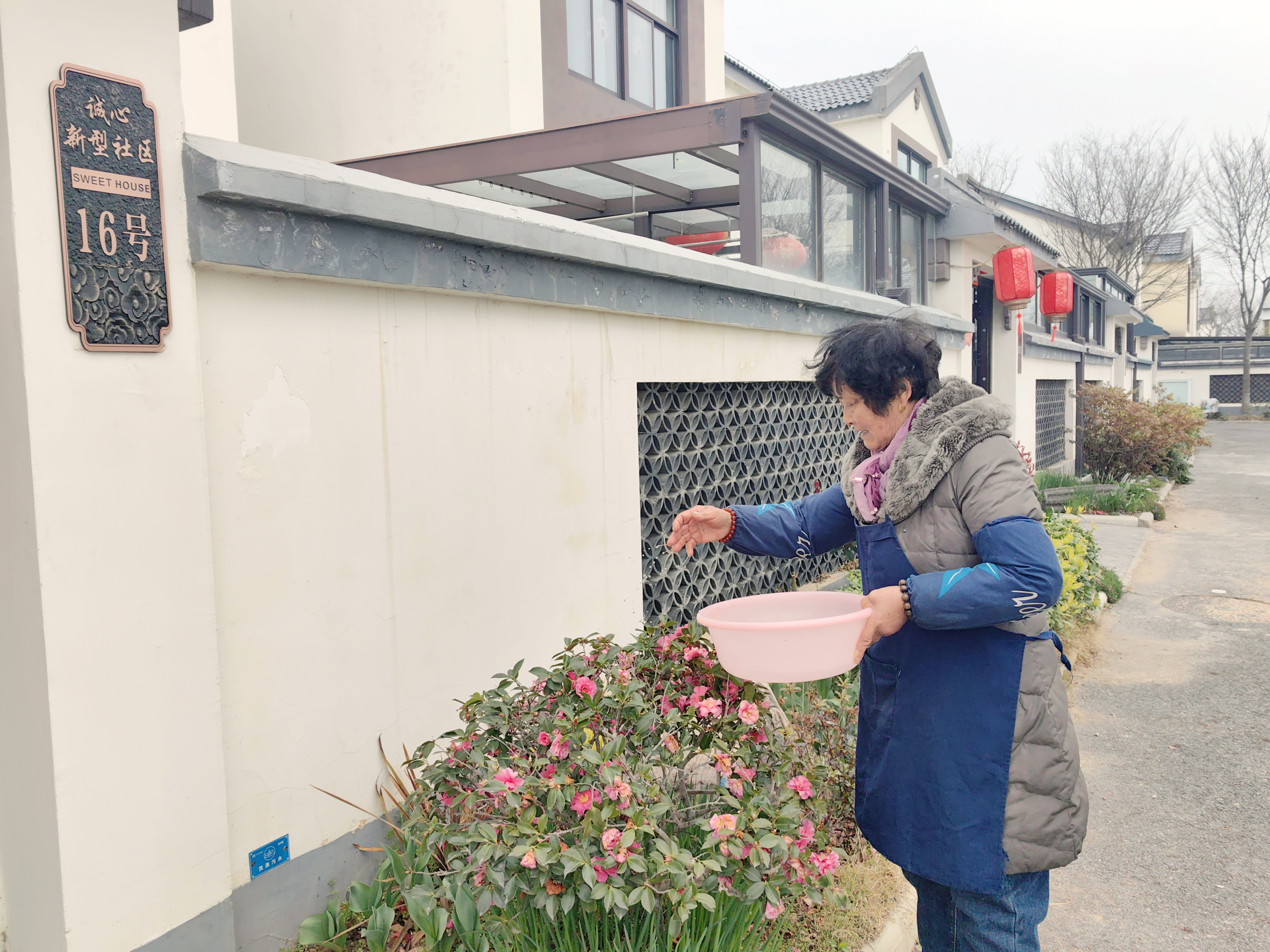 下沉一线解民忧 暖心服务促振兴——南阳镇诚心村书写和美乡村民生答卷