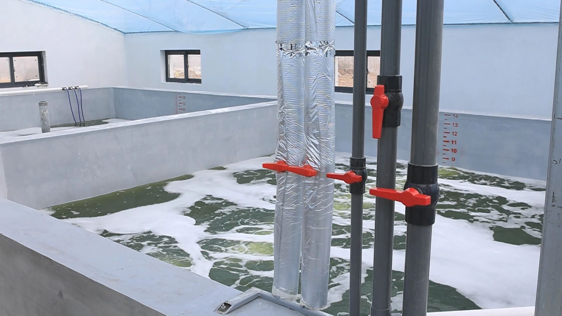 响水：育苗棚里春意浓 “蟹”逅丰收新希望