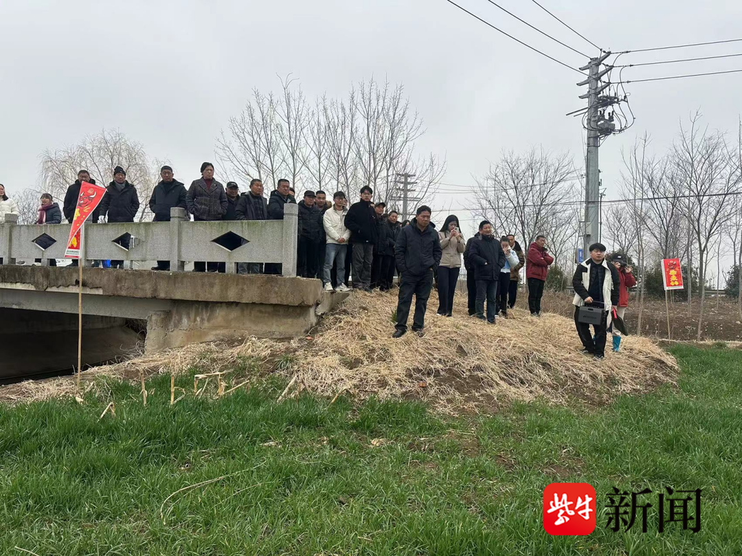 专家下田“传经” 连云港小麦田间课堂开出“丰收良方”