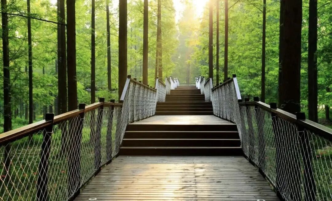 把课堂搬进春天，春假研学来东台三仓研学攻略