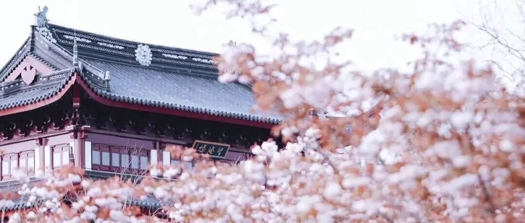 粉了粉了！盐城又来“圈粉”了！