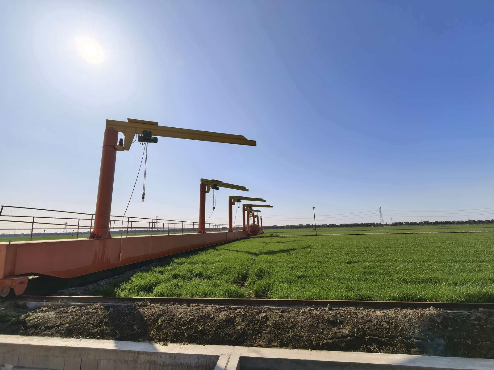 江苏南通：当“面朝黄土”遇上“面朝屏幕” AI下田，让农业更聪明