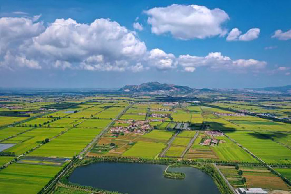 连云港海州：田园变景区 产品变礼品 解锁农业转型“新玩法”