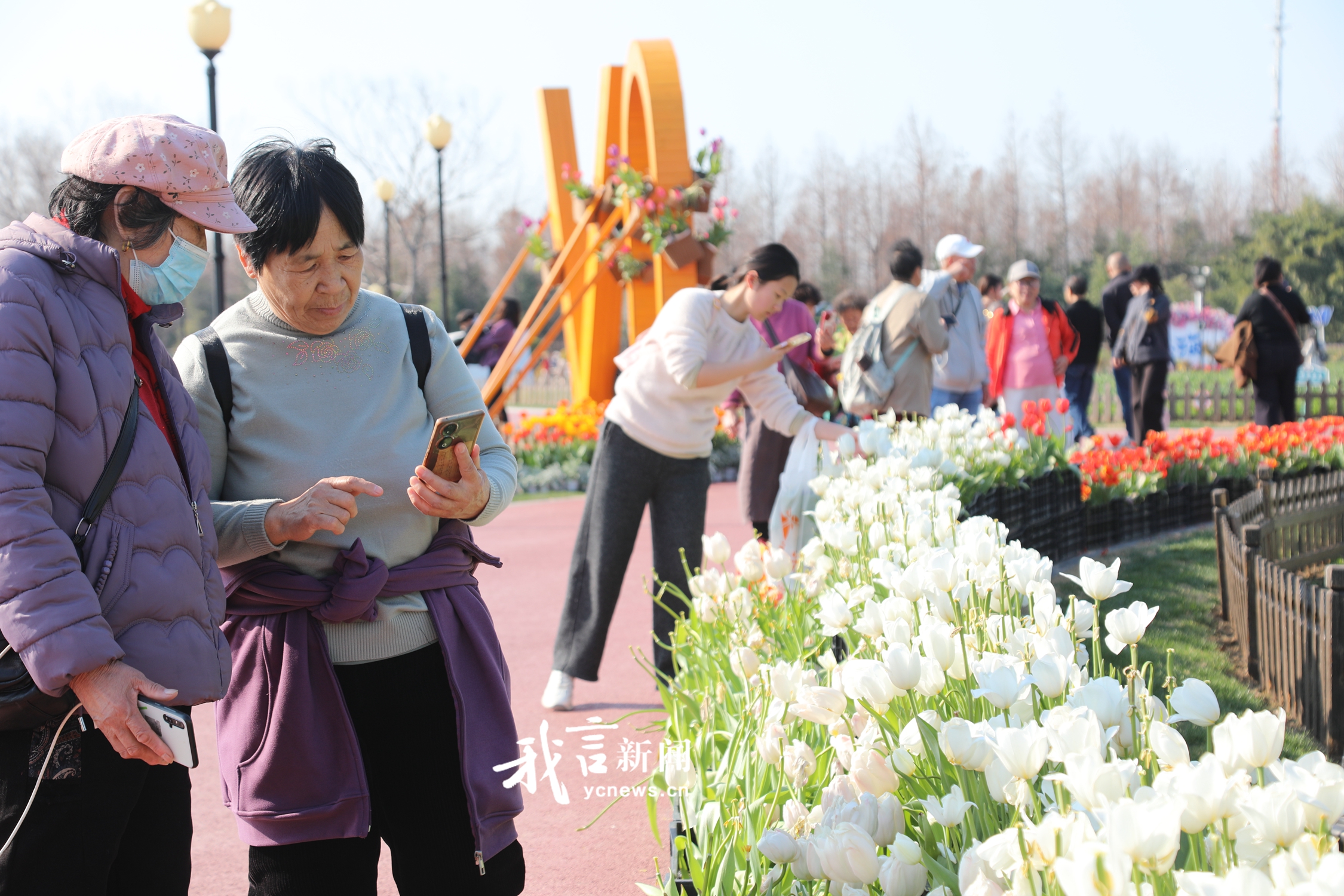 踏青赏花享春光