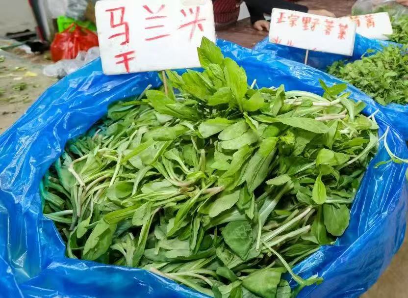 江苏南京：“春天的第一口鲜”，从山间“野”进城市