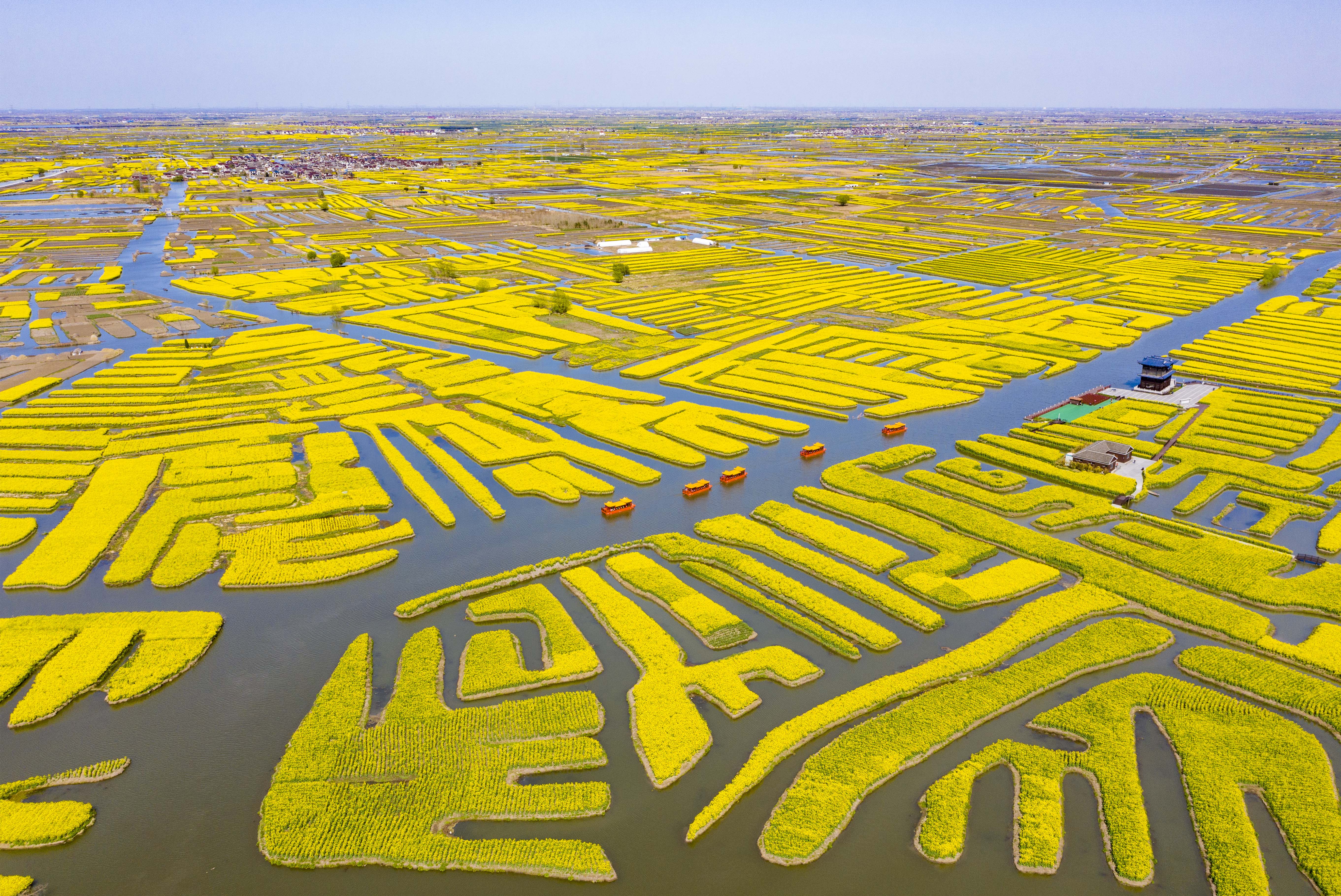 江苏兴化：木船遇见垛田，“非遗”项目融合生长
