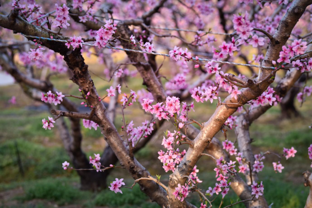 守护太湖“自然美”，常州“绿色答卷”引领全民畅享“低碳”幸福
