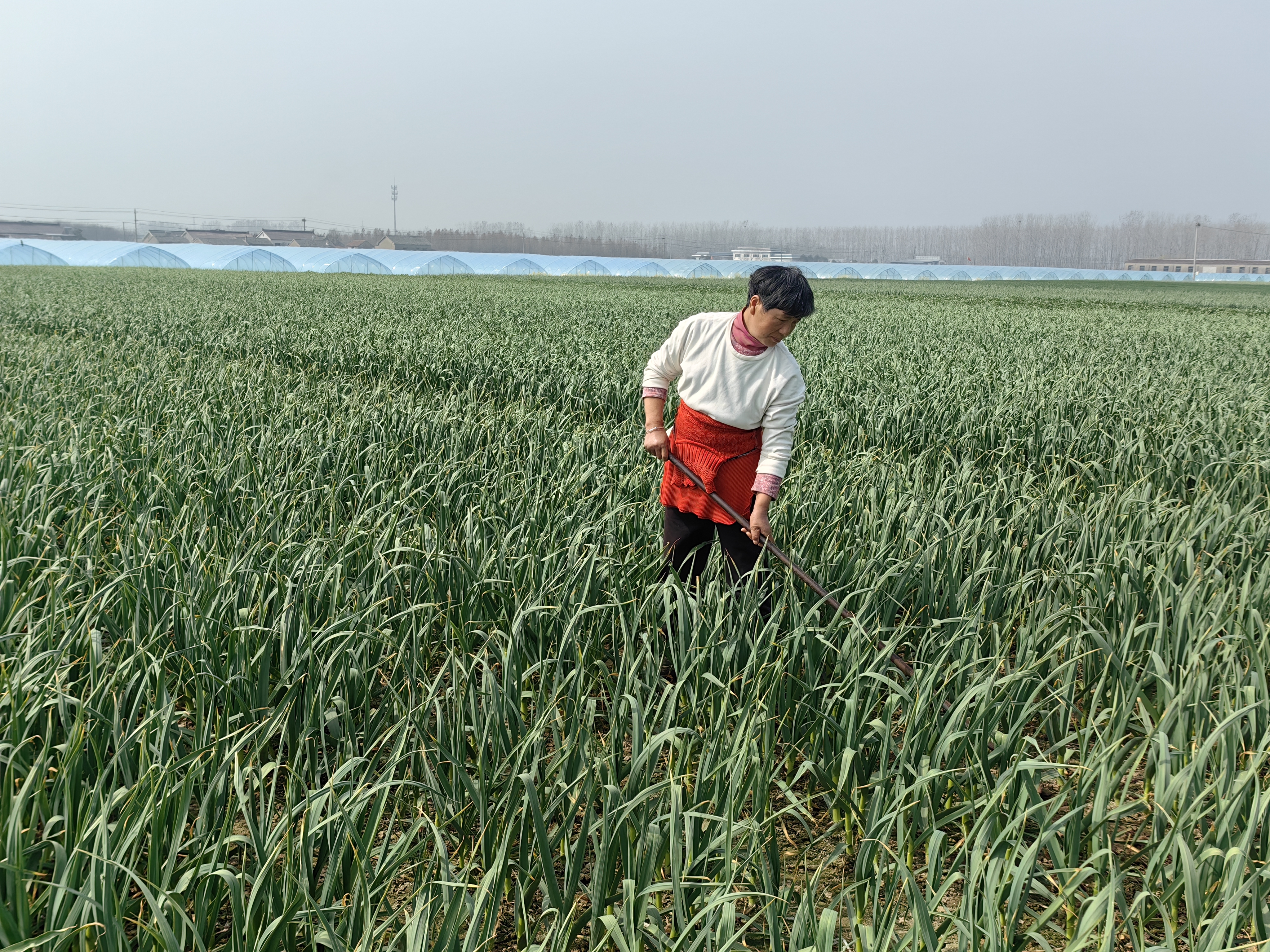 细管精护 喜盼丰收