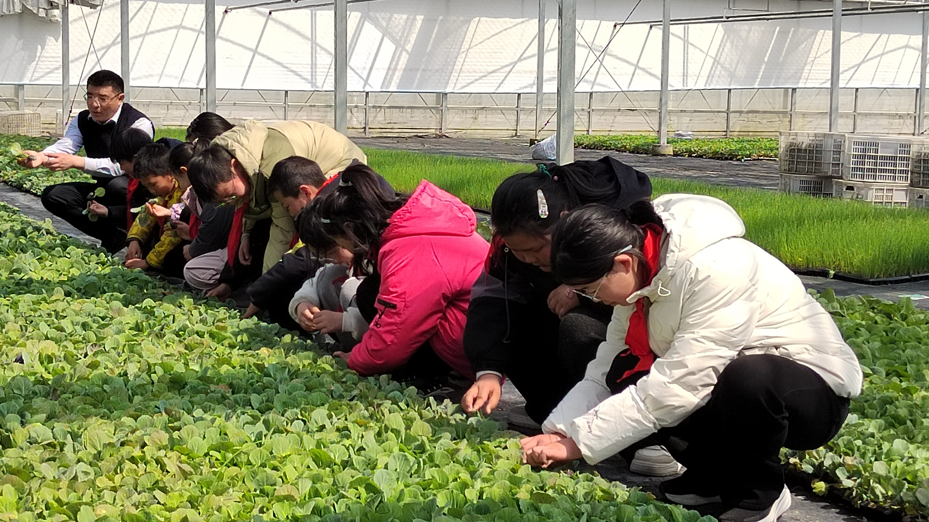 南阳镇：以实践赋能 让梦想起航