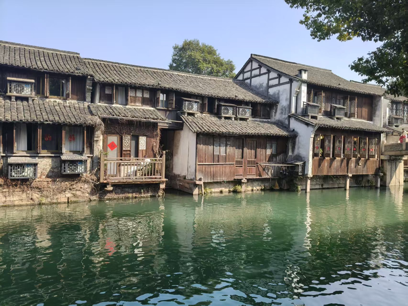 我的“山海寻梦”故事丨山海寻梦当独行 千里同心共前行(王晓丹)