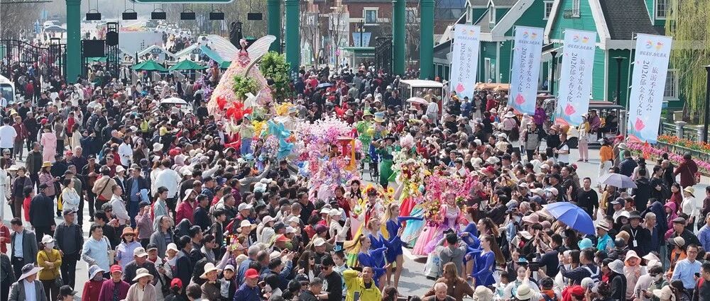 荷兰花海，官宣全面开花！