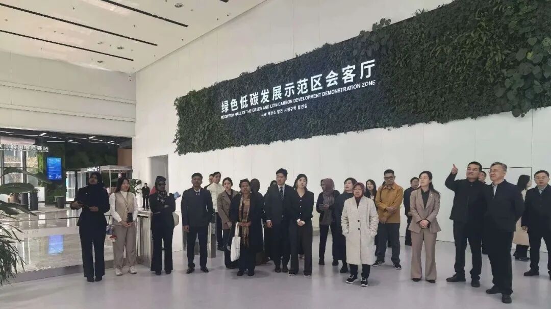 领略向海向绿向新之美 世界城地组织亚太区青年领袖代表团走进盐城