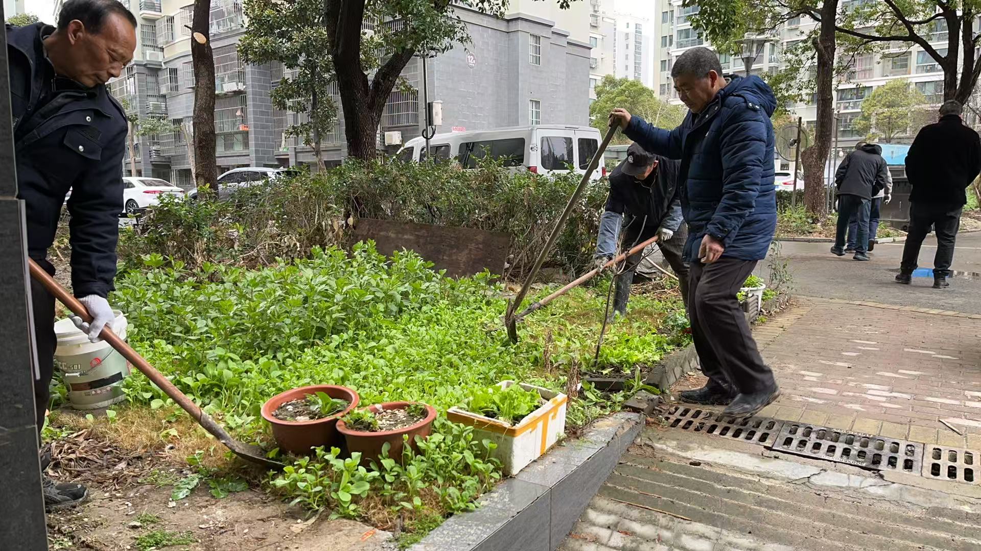 盐渎街道：三清三化绘新景 幸福宜居暖民心