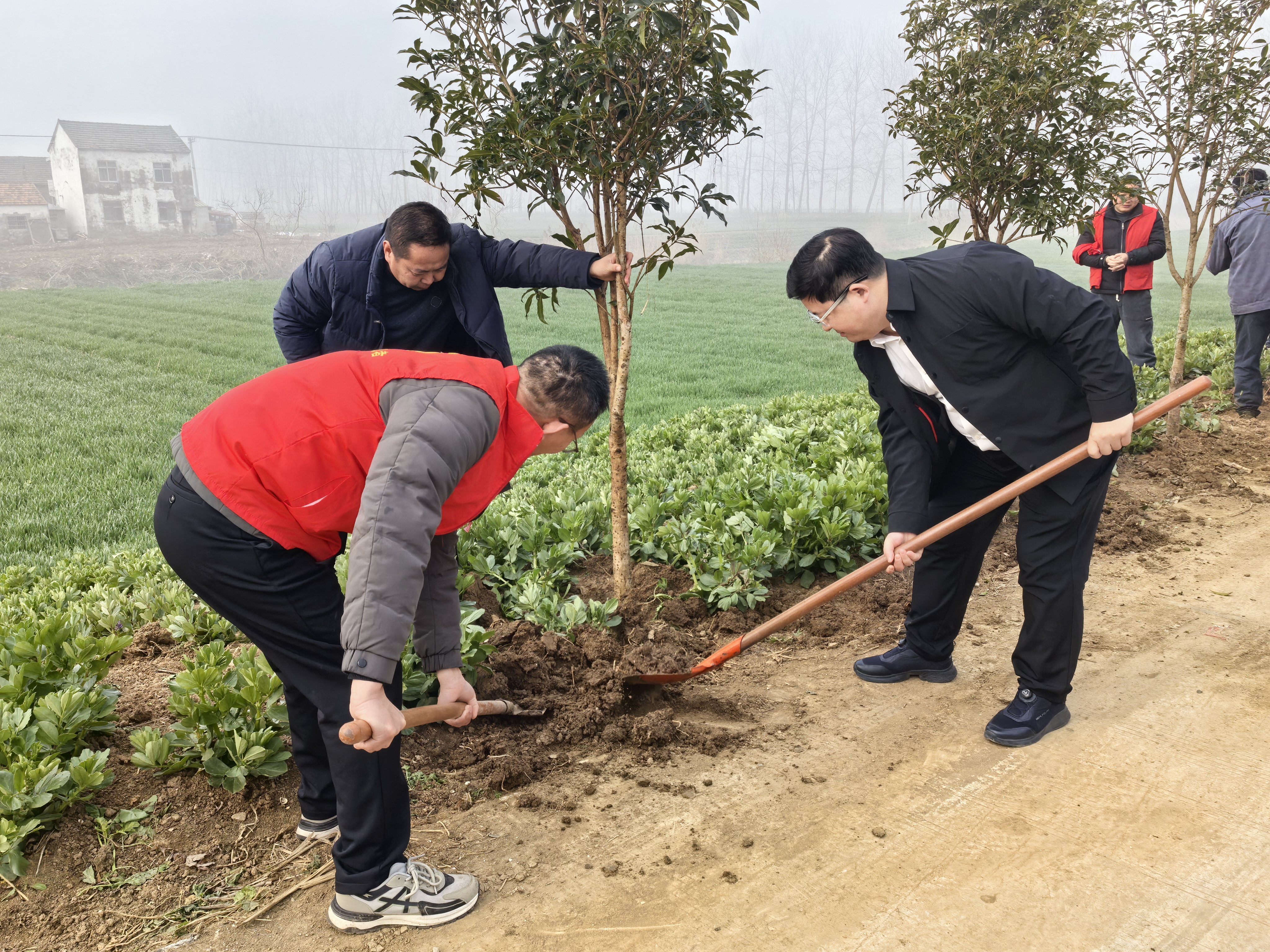 陈集镇人大代表：义务植树添新绿 履职尽责显担当