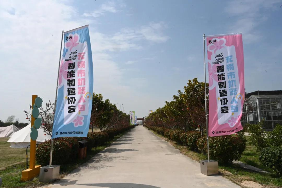 盐城盐都大冈镇:借“盐马”东风,赴“桃源”之约