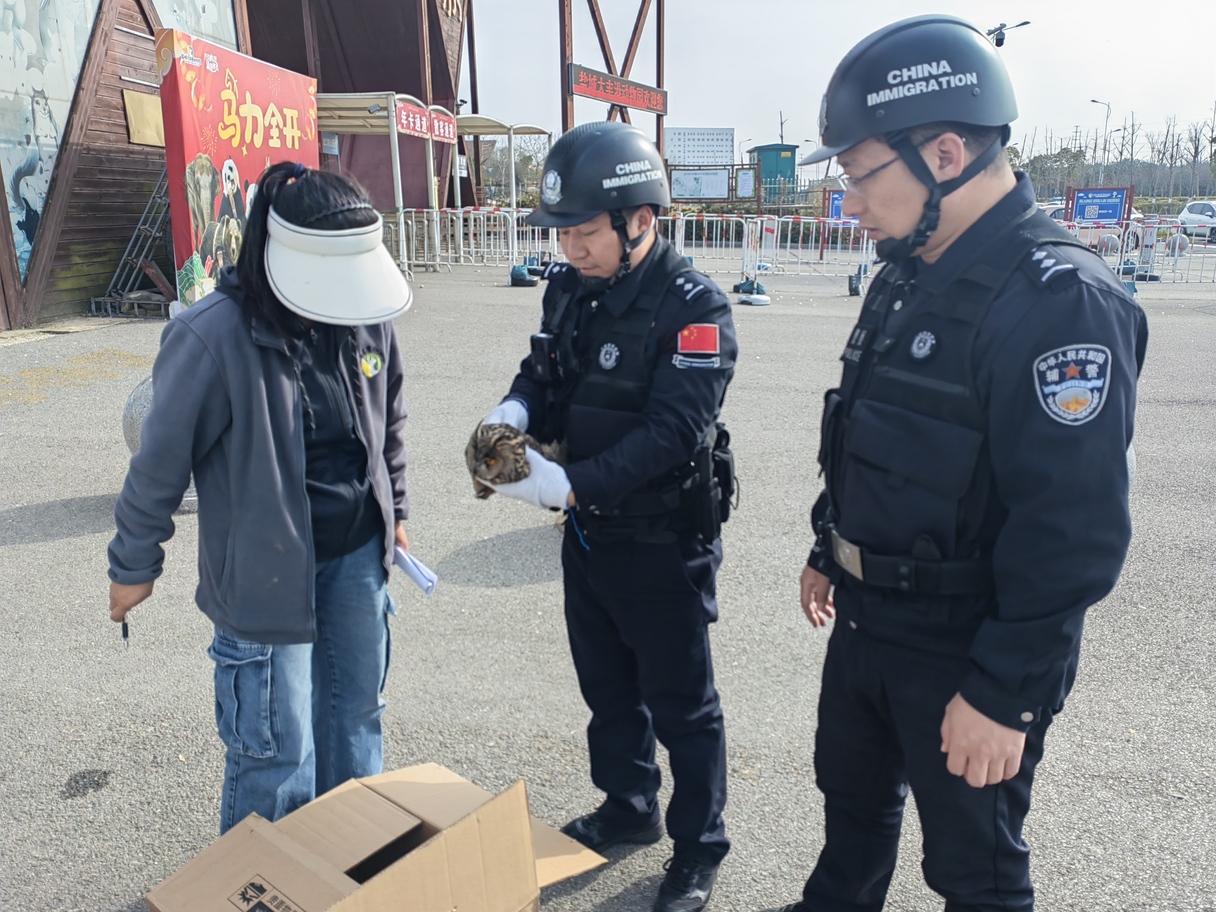 边检民警暖心救助猫头鹰
