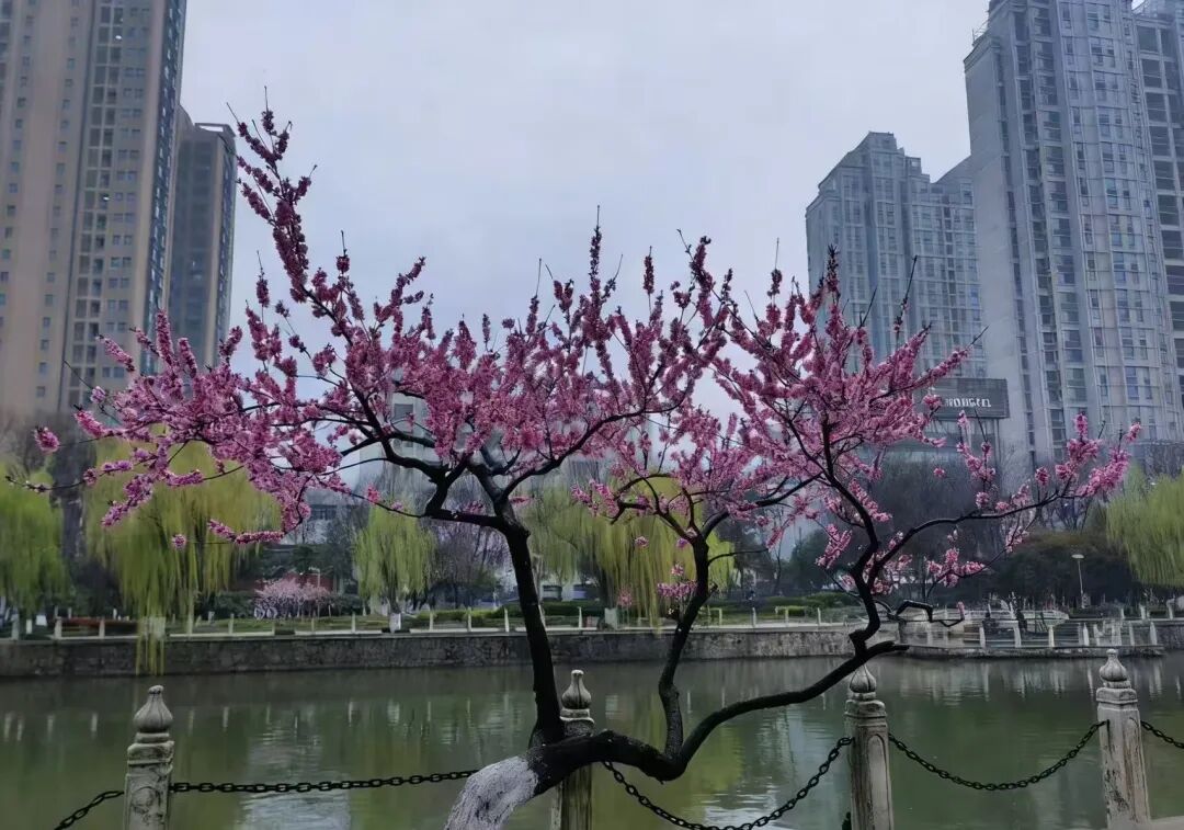 春假清明出游季 这份花粉防护指南请收好