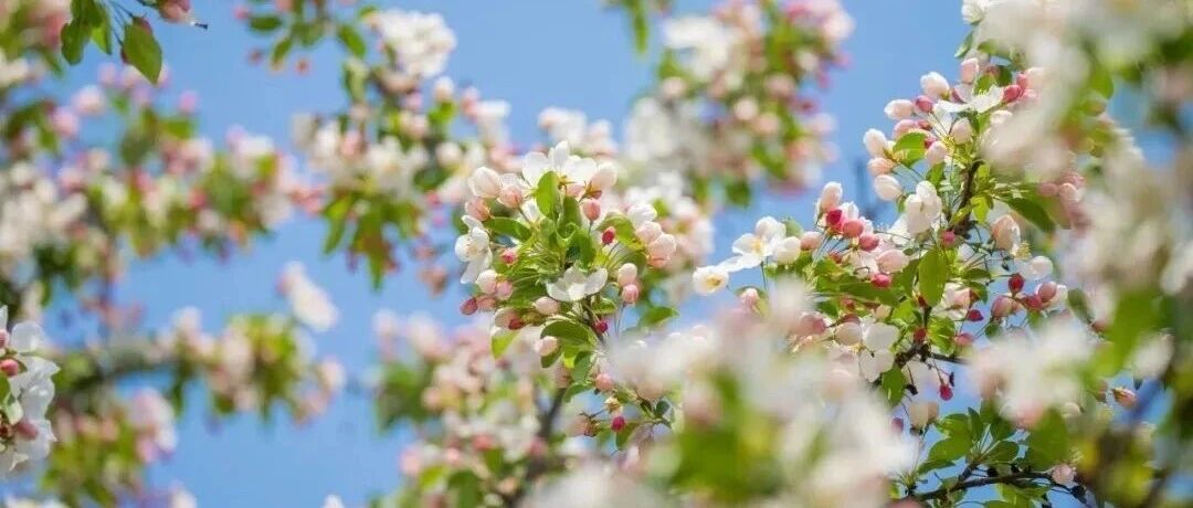 雨停升温，直冲24℃！盐城接下来……