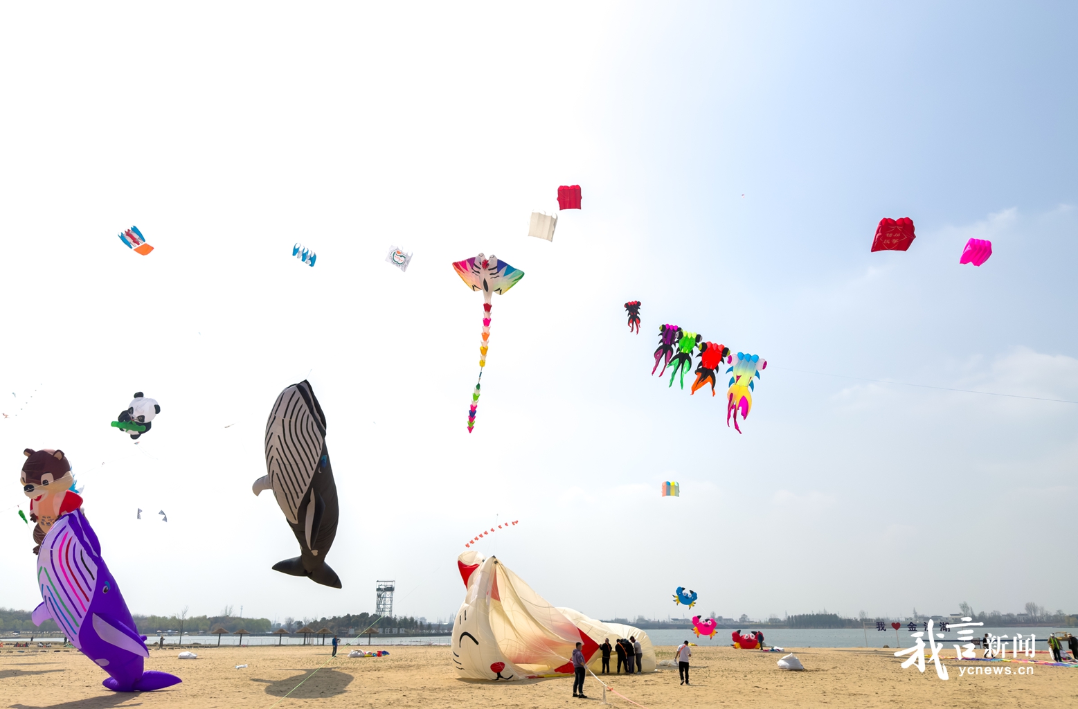 2026“金沙湖杯”全国风筝邀请赛在阜宁金沙湖开赛