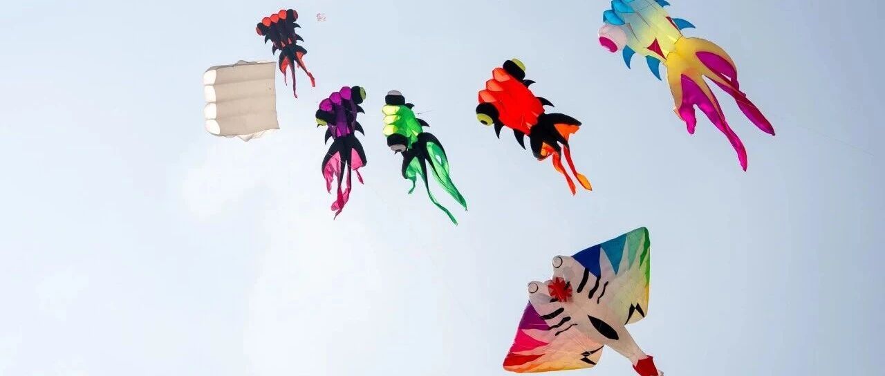 这个假期，一起去阜宁金沙湖放风筝