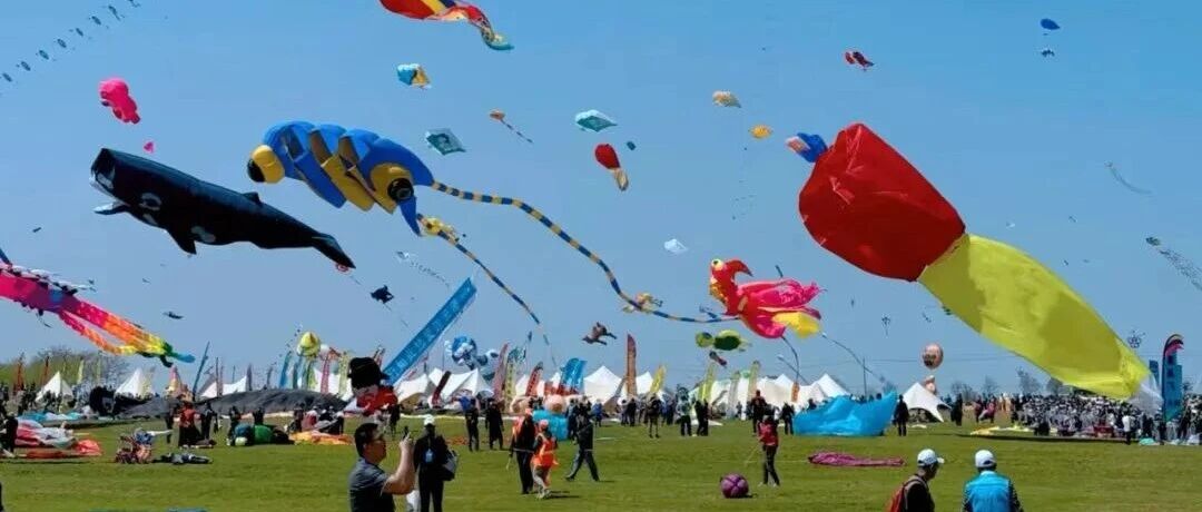 抬头看！盐城宝子们可太开心了