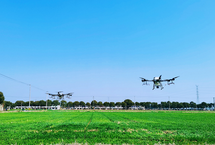 “脚不沾泥”知农情，无人机“飞”出无锡智慧农业新路径