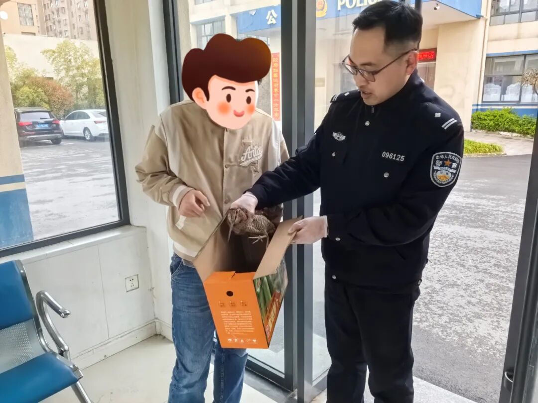 守护生态精灵  警民携手救助野生鸟