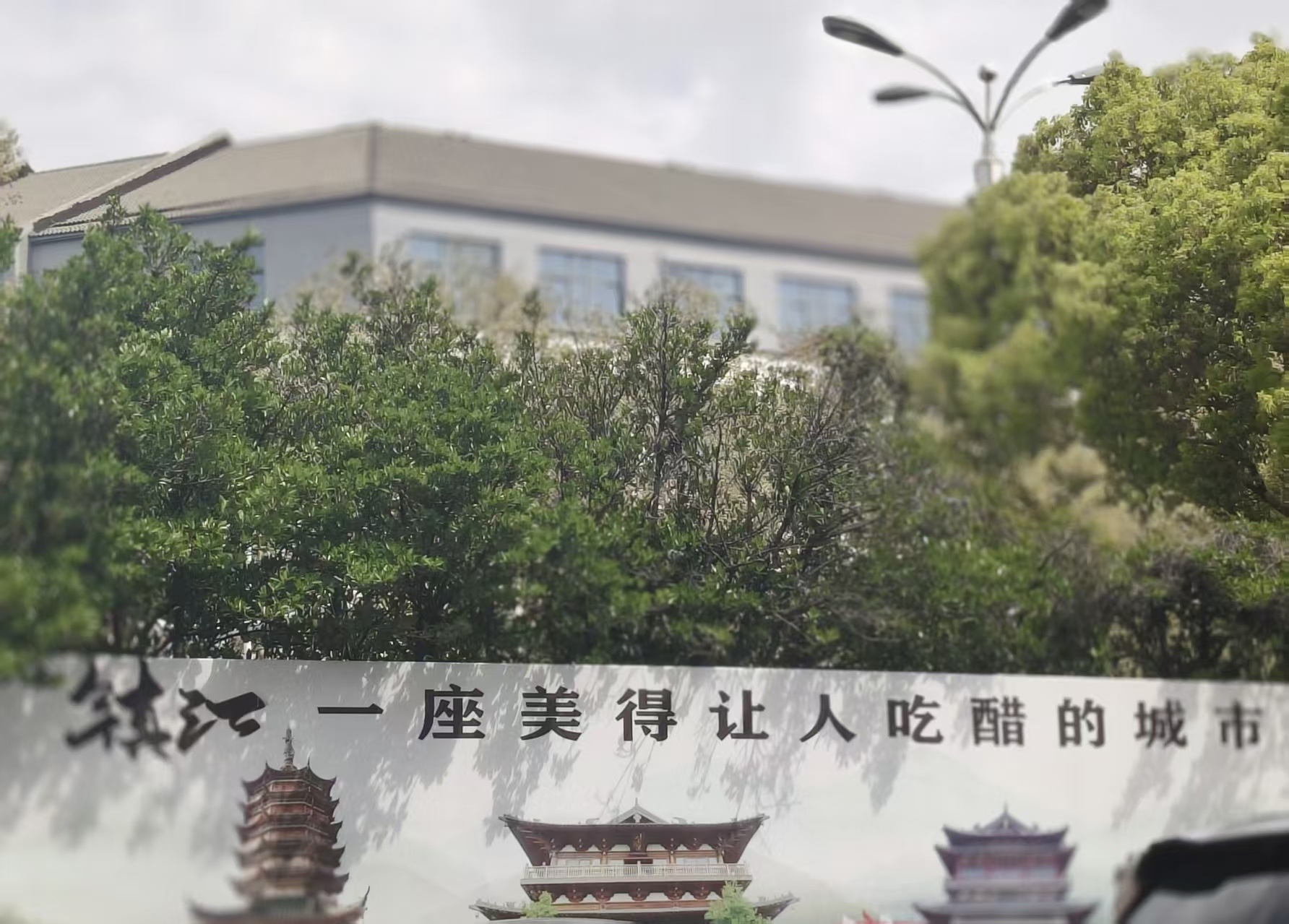 我的“山海寻梦”故事丨若将岁月开成花 人生何处不芳华(王晓丹)