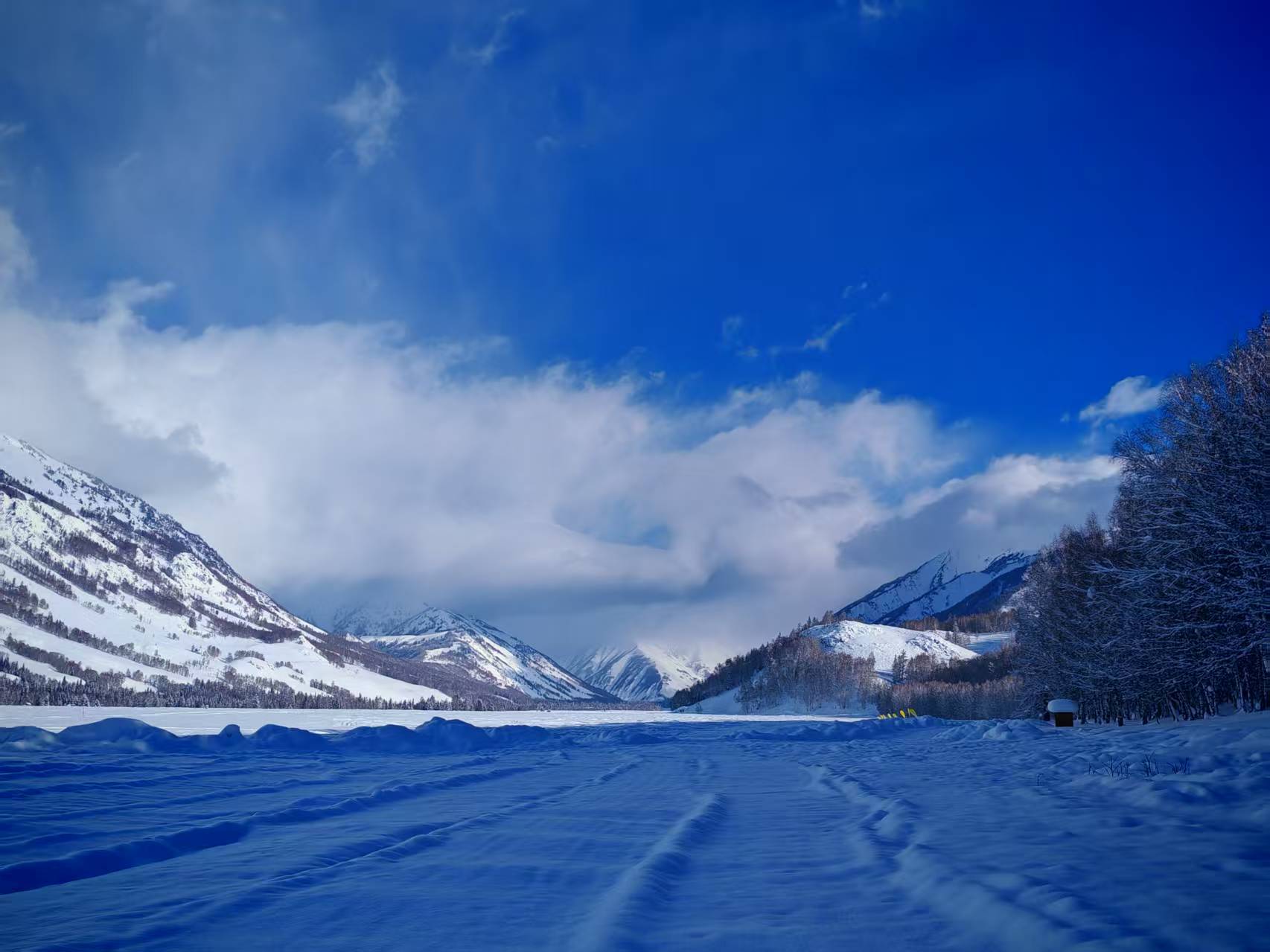 我的“山海寻梦”故事丨雪落边城美 情牵西北兴(管晓红)