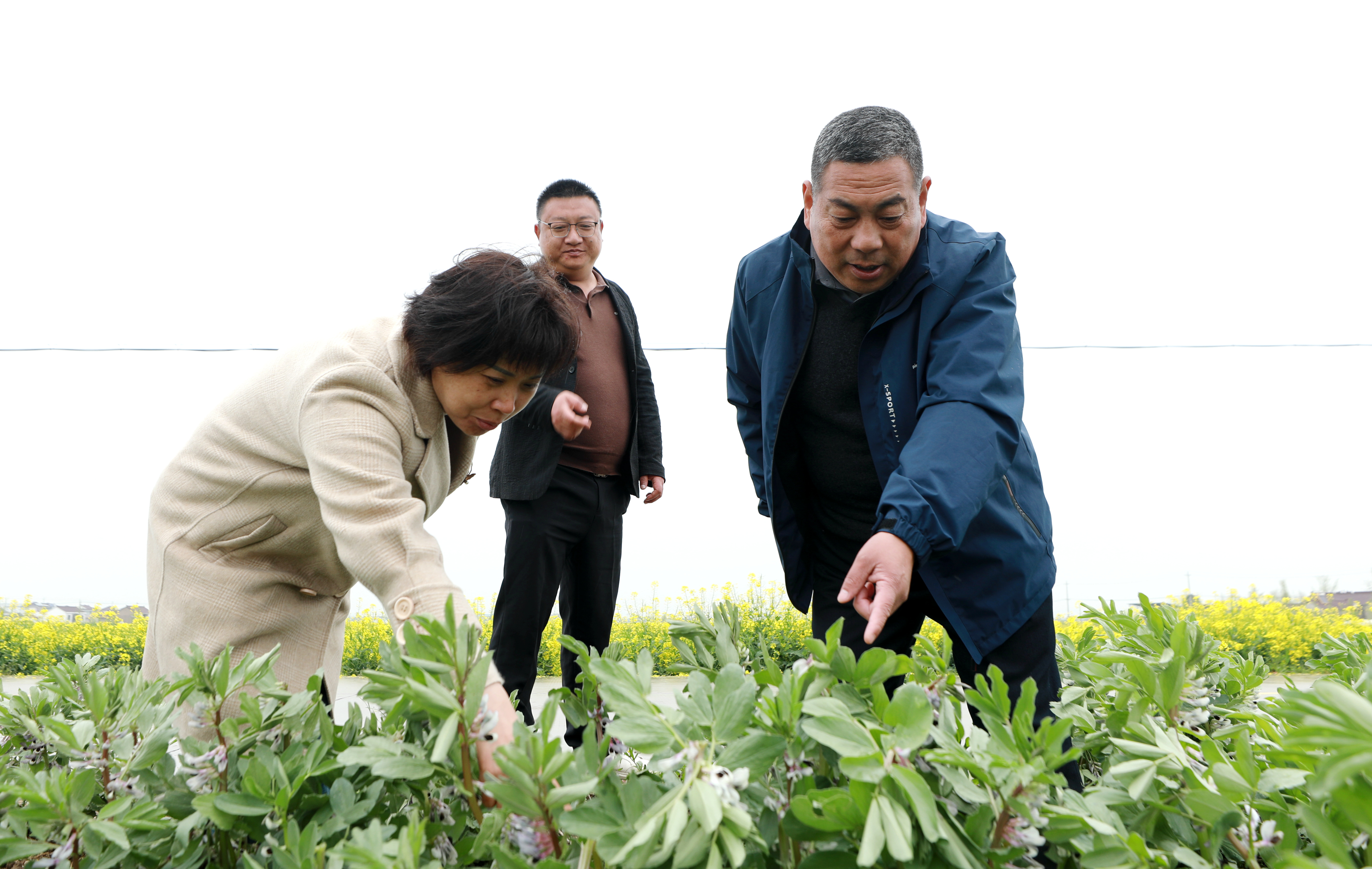 草堰镇突发短时强对流天气 镇村联动积极应对降损失