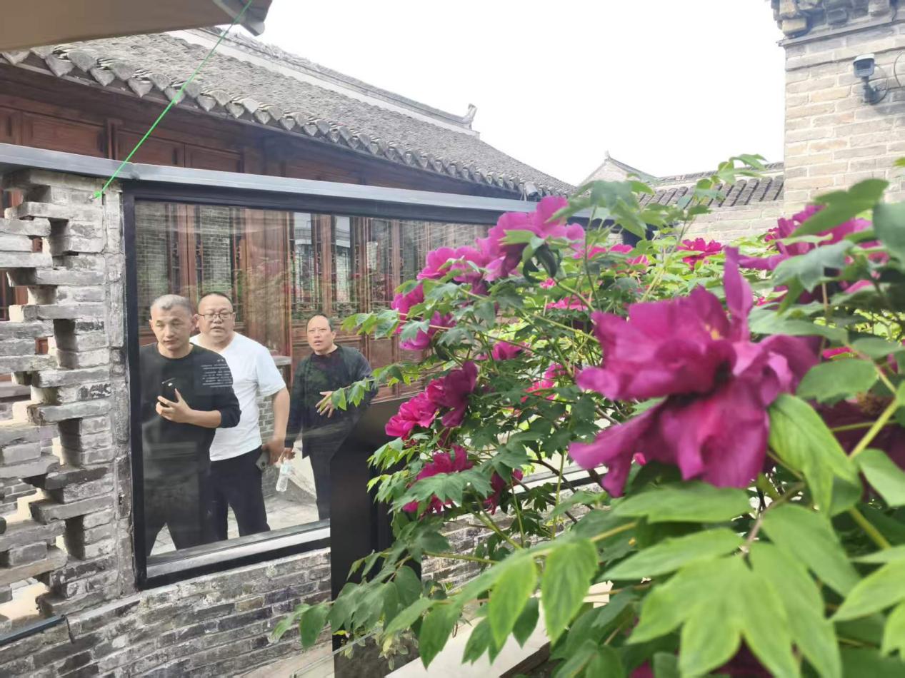 伍佑街道：牡丹惊艳绽放 古镇迎来打卡潮