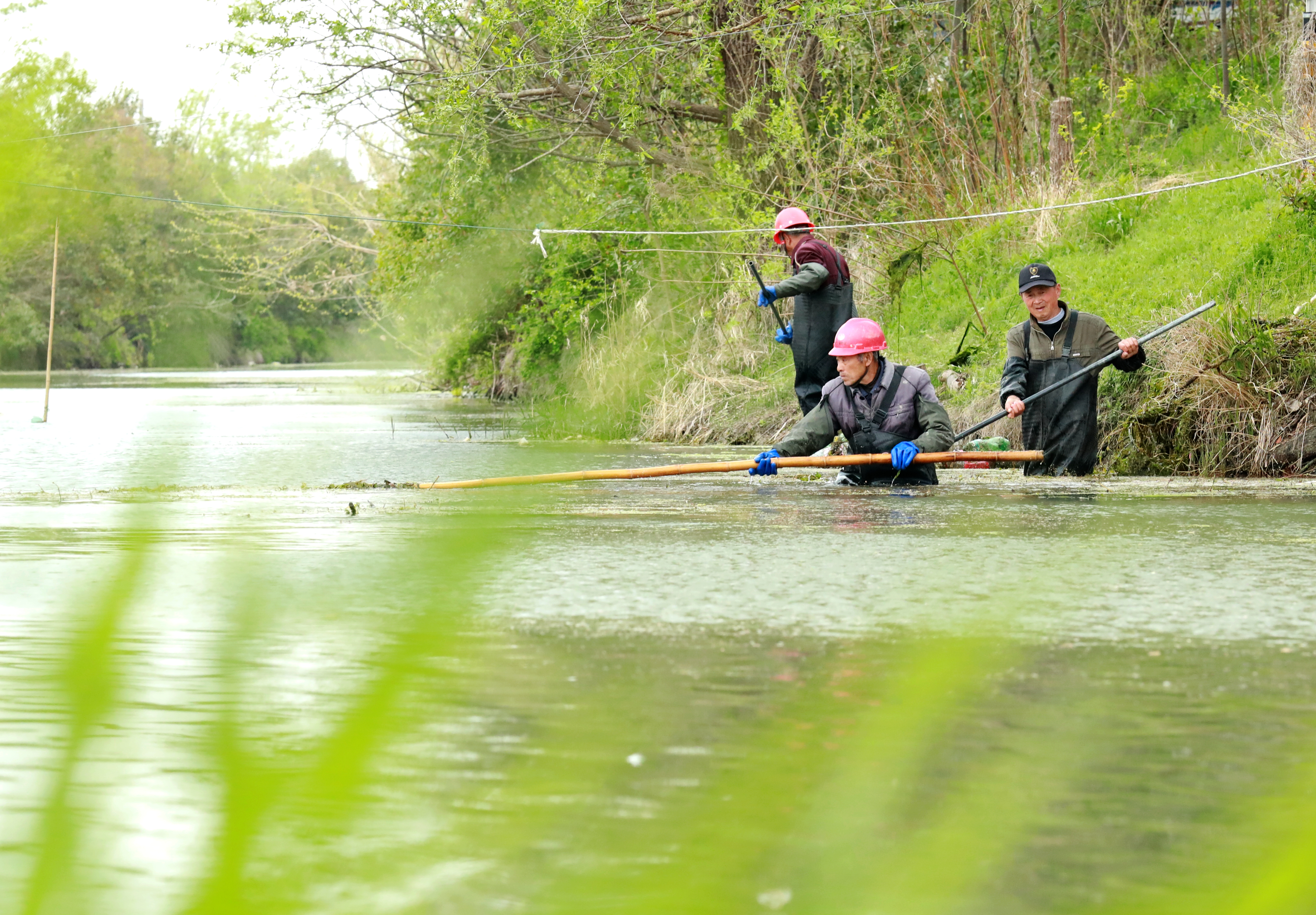 草堰镇开展河道专项清理