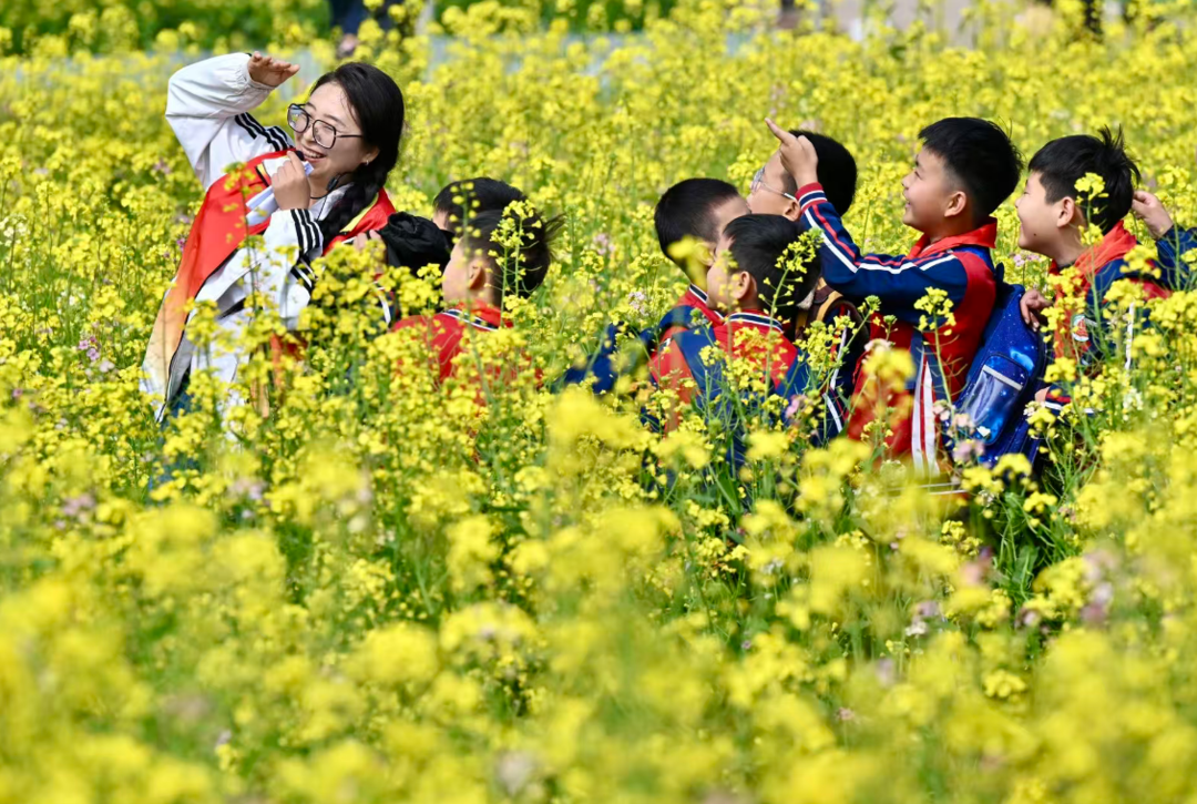 黄河入画·滨州出彩|从“土里刨食”到“农旅融合”的绿色蝶变