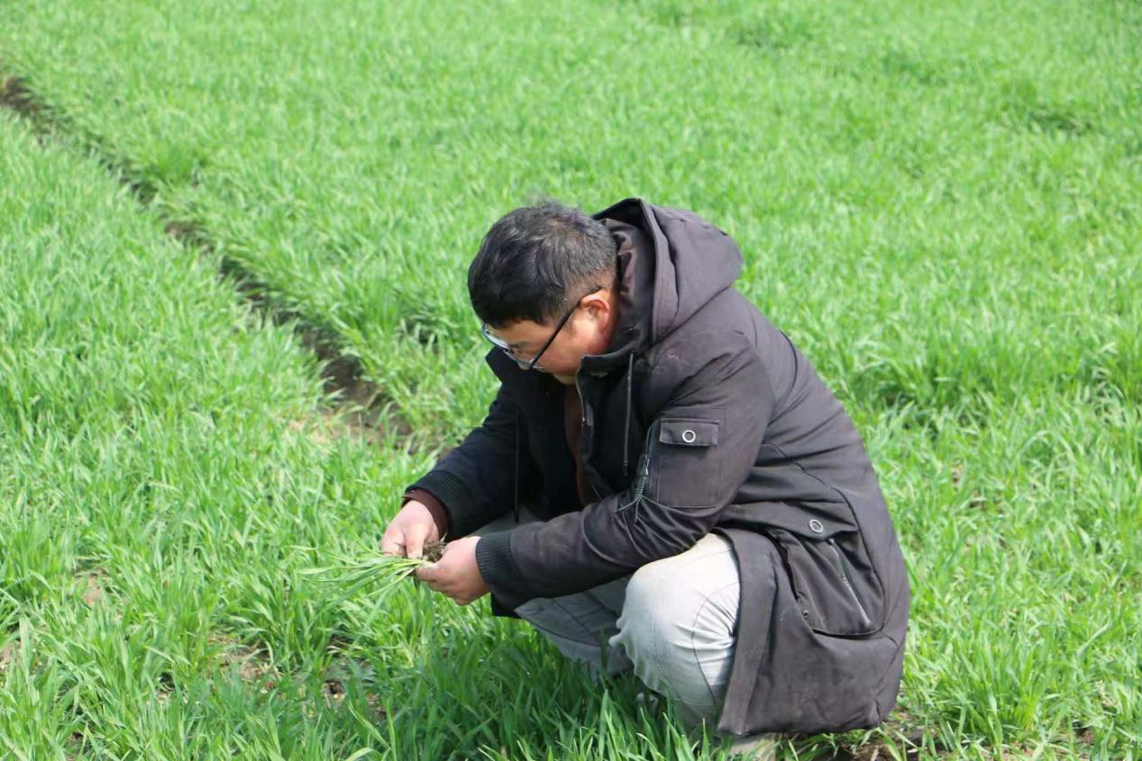 田埂上的年轻人