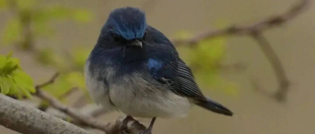 盐城首次发现！