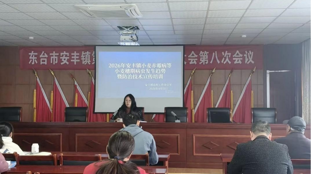 安丰镇：迅速行动、精准施策，决胜小麦穗期病虫绿色防控攻坚战