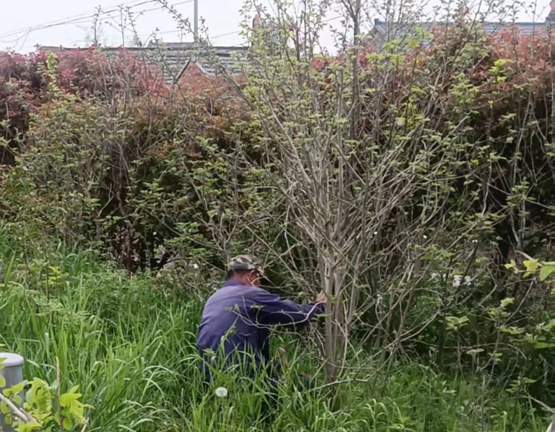 许河镇掀起爱国卫生月全民参与热潮