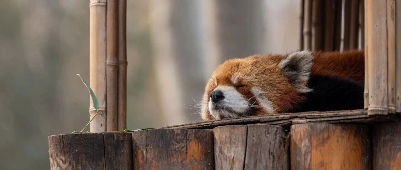 这几种“困”，别硬扛！