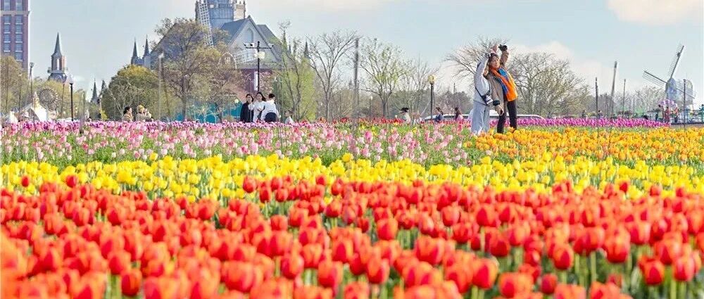 一眼沦陷！盐城春日顶流！