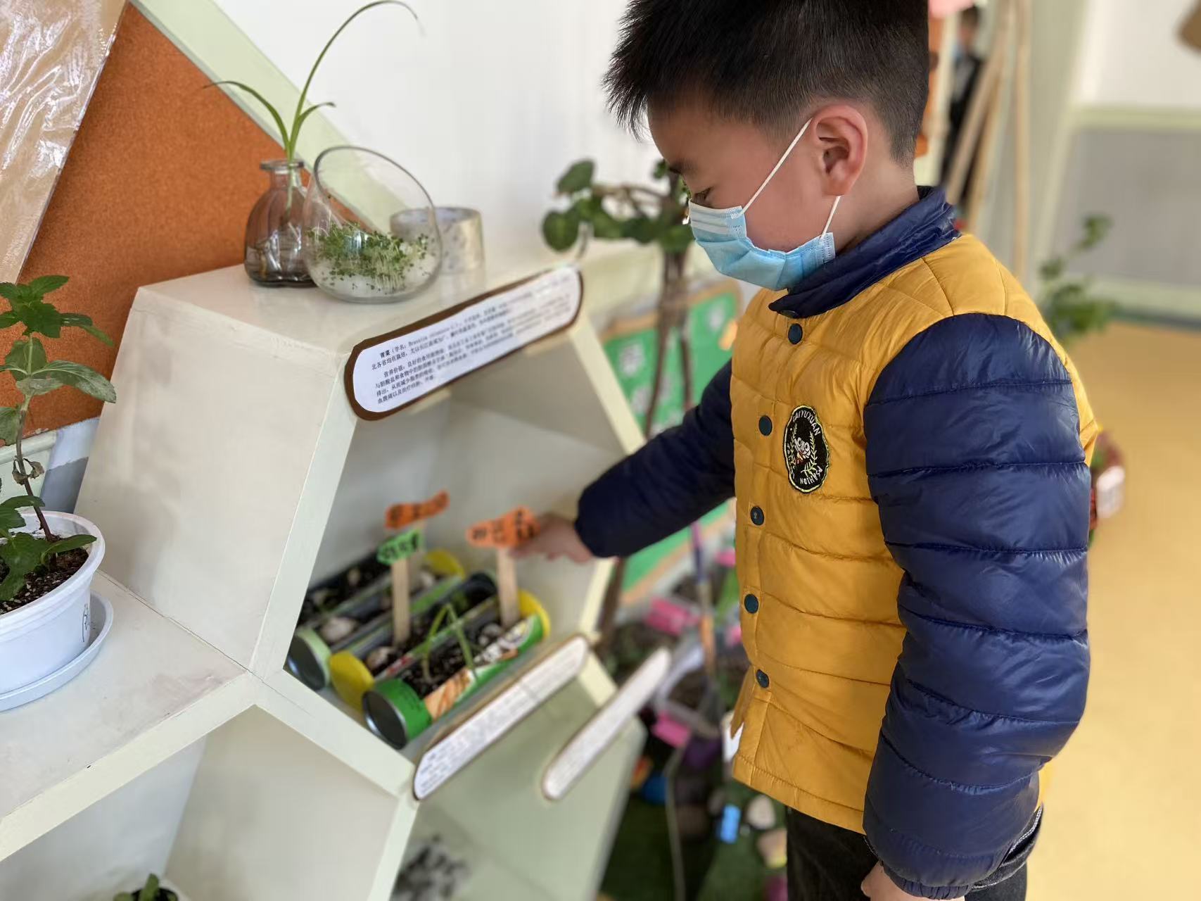 我的“山海寻梦”故事丨以小我微光 奔赴时代山海(张荣堃)