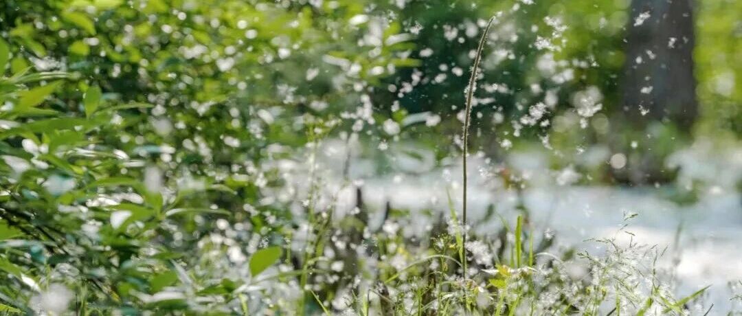 戴口罩！盐城街头已出现