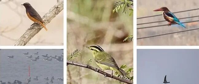 467种！盐城家底再刷新！