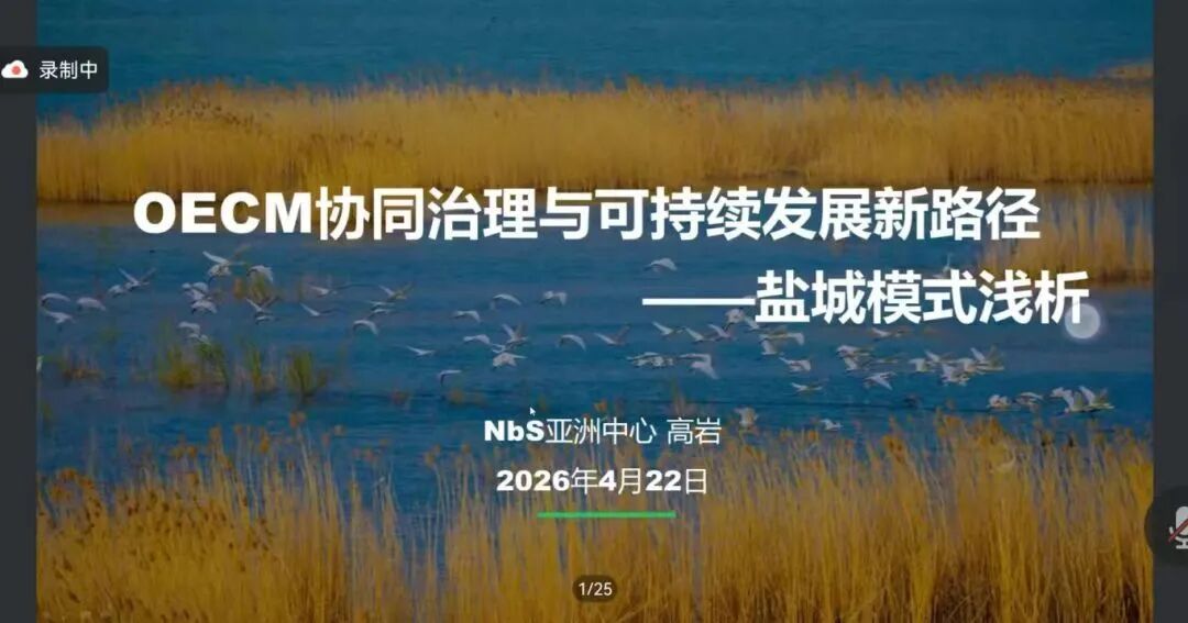 盐城市生态协同治理案例获nbs亚洲中心推介