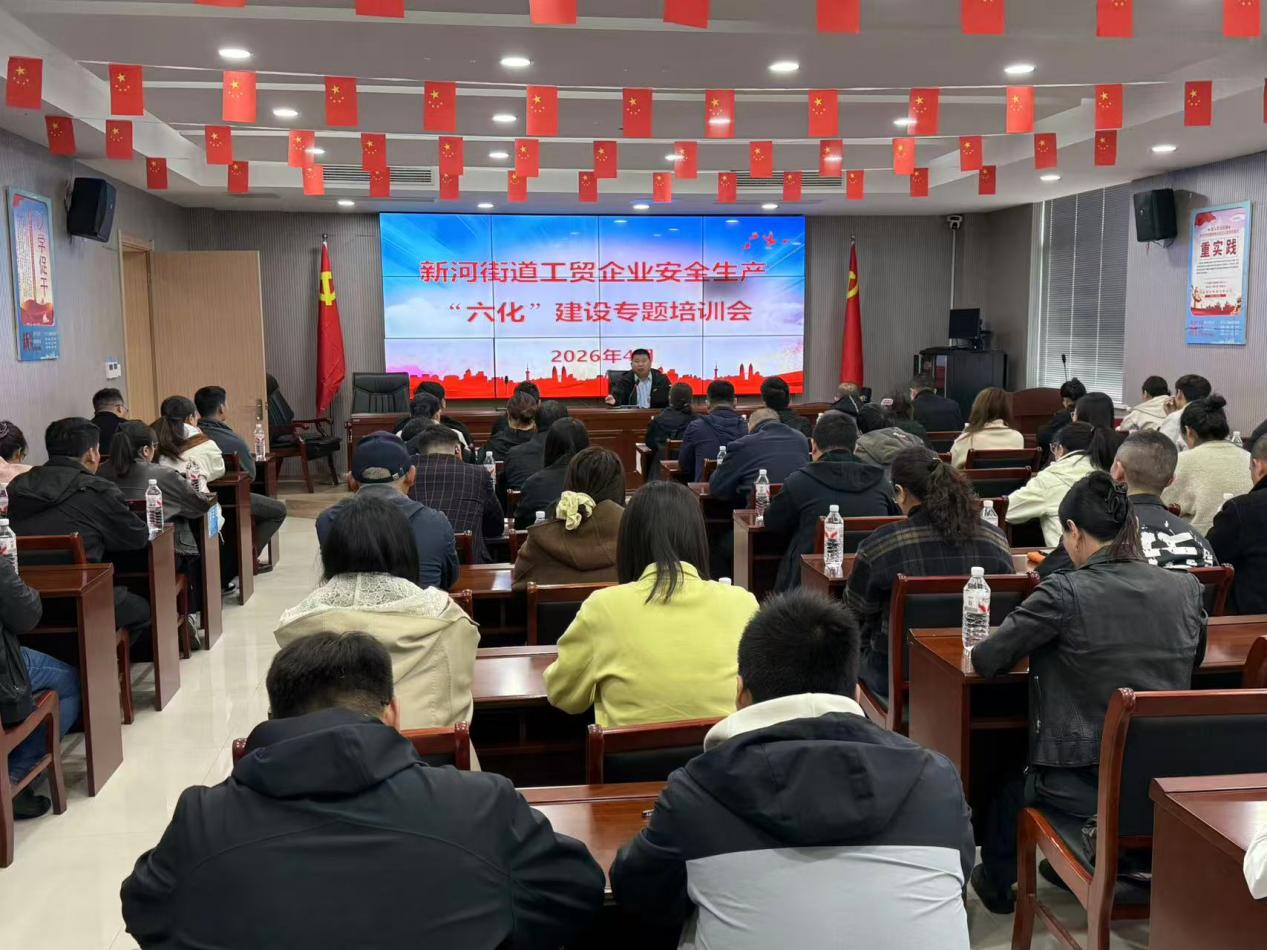 新河街道聚力“六化”建设推动工贸行业本质安全