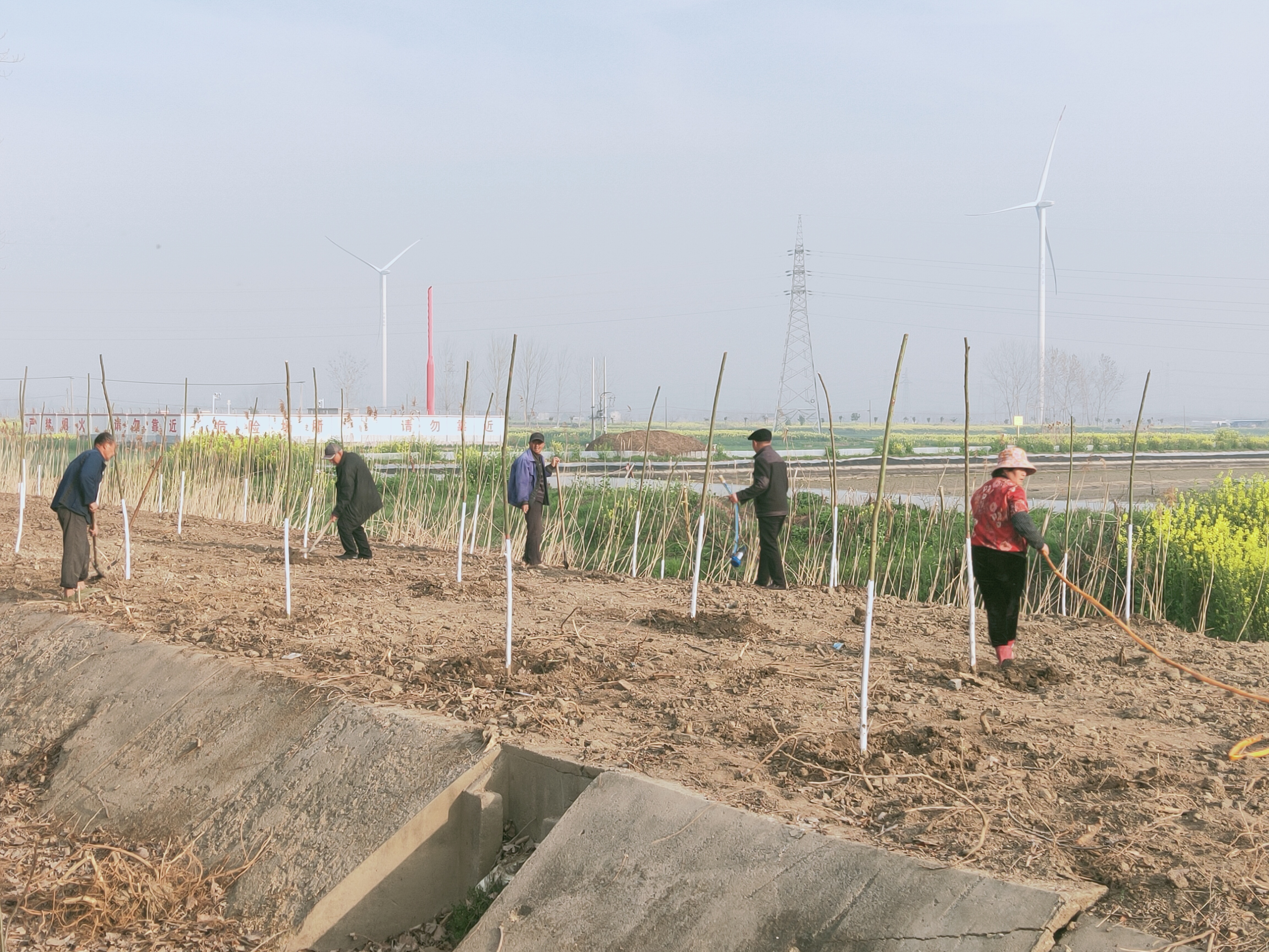 阜宁县高新区沙河村丨多措并举筑牢水利生态屏障